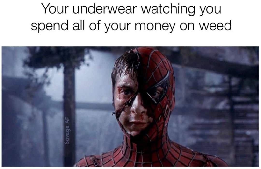 Your underwear judging your financial priorities - meme