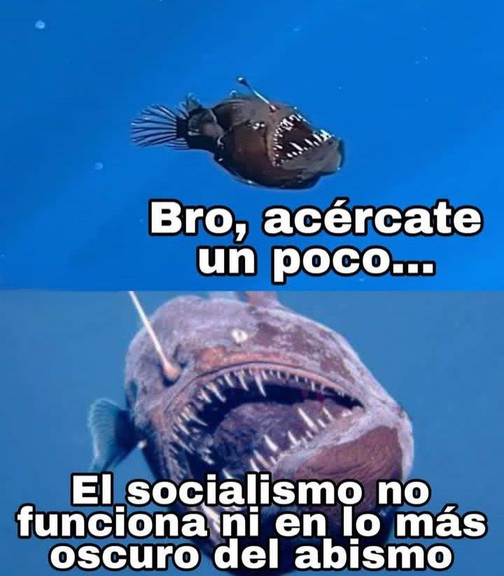 El wifi en el abismo no agarra bro, acércate más - meme