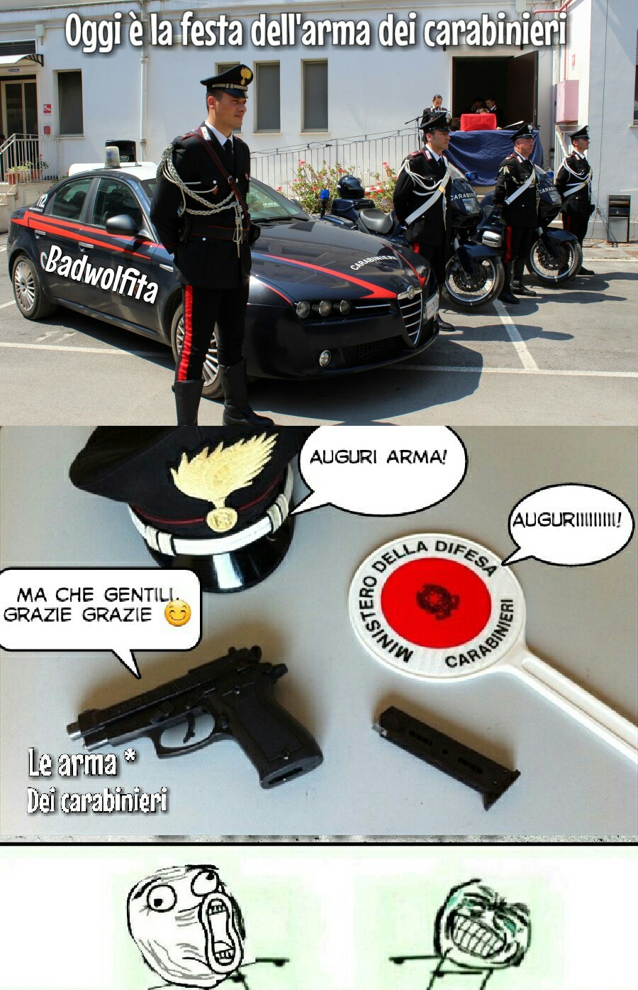 Festa arma dei carabinieri - meme