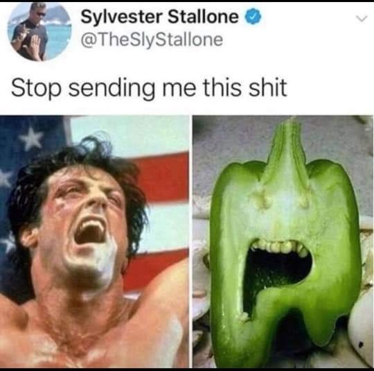 Sylvester Stallone Death Hoaxes Know Your Meme