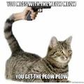 You meowed your last meow