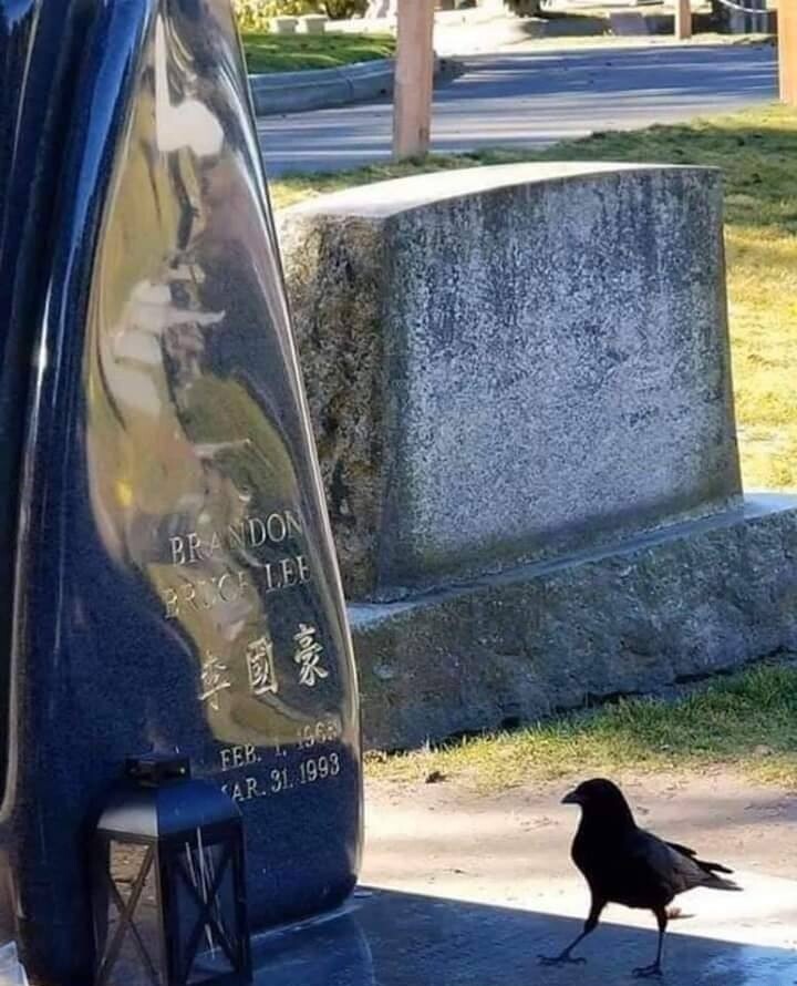 People once believed that when someone dies, a crow carries their soul to the land of the dead. But sometimes, something so bad happens that a terrible sadness is carried with it and the soul can't rest. - meme