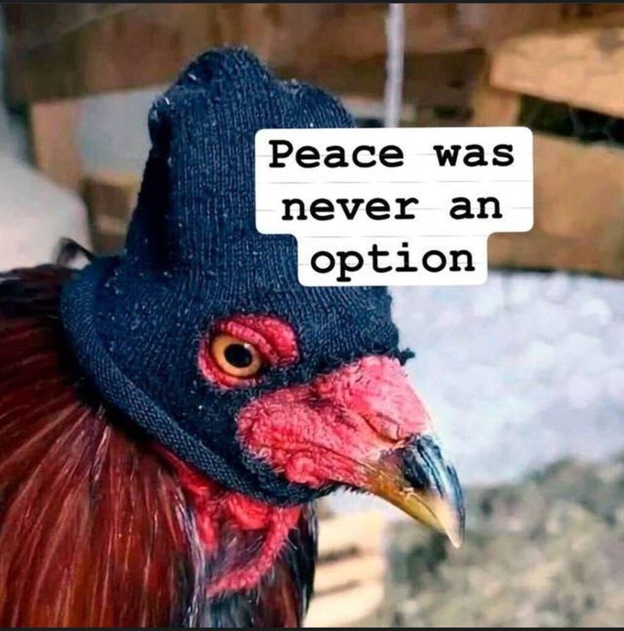 Buy chickens - meme