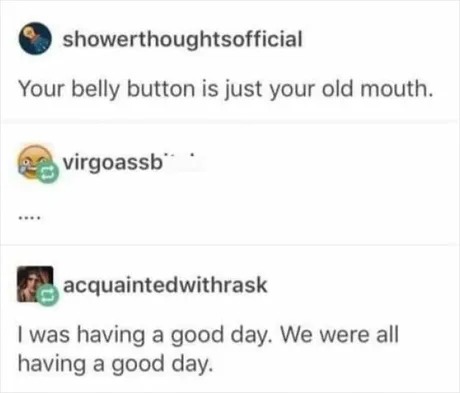 Belly button fact - meme