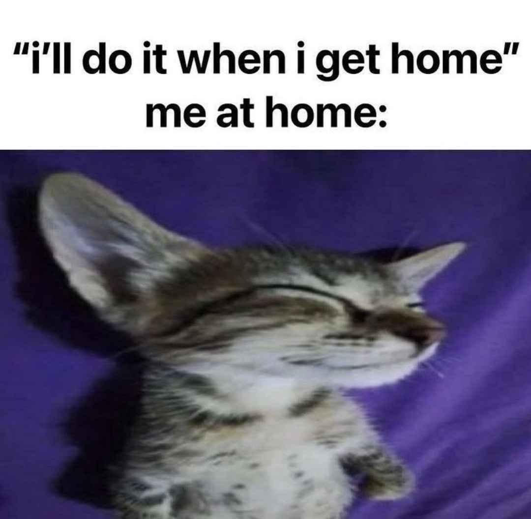 Chill - meme