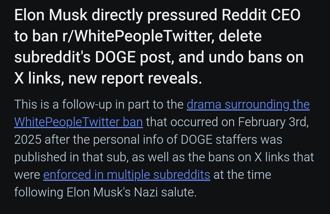 Elon Musk speedrunning Reddit drama and DOGE conspiracies - meme