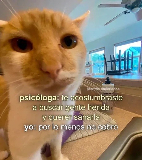 Yo sanando a gente rota gratis y sin diploma - meme