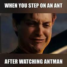 After watching Antman - meme