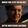 After watching Antman