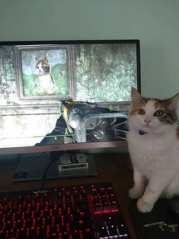 Aquela gameplay com a gata - meme