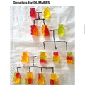 or... genetics for gummies?
