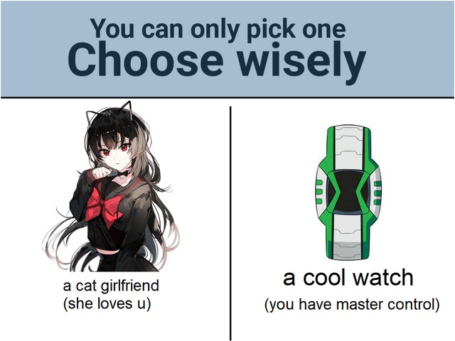 Choose wisely - meme
