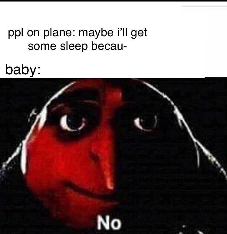 Baby's on planes are a bad idea, just have someone babysit them instead - meme