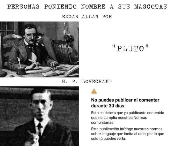 Ya quiero ser famoso para tener un gato, aprender alemán o inglés y ponerle algún equivalente a los hindues(Evento: comenten peliculas/series/videojuegos para hacer memes de estos)