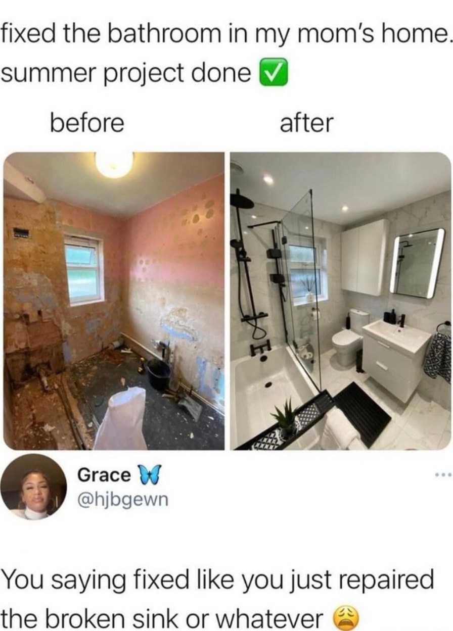 Fixed the bathroom aka built a whole new house - meme