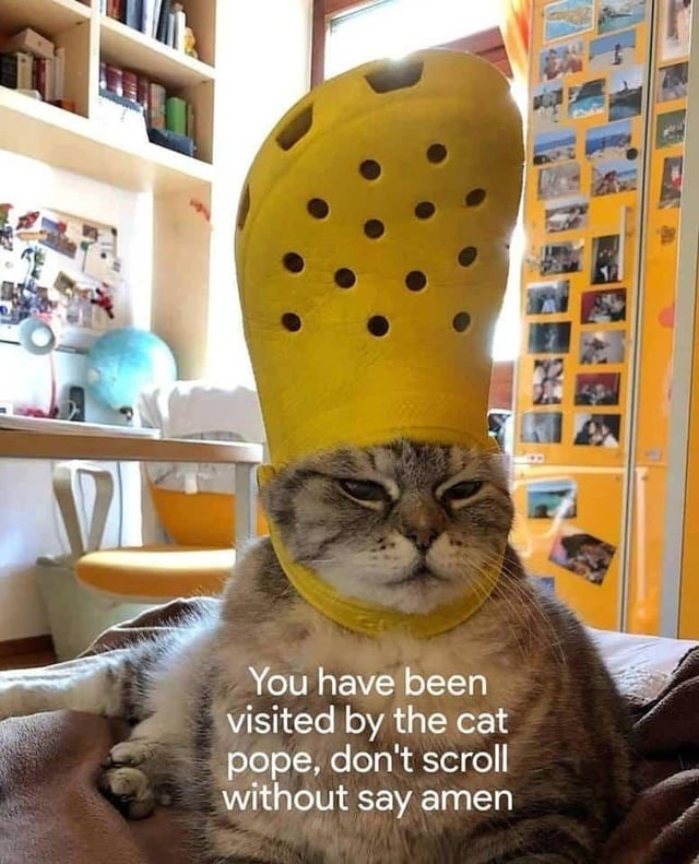 You've been blessed by the cat pope, say amen - meme