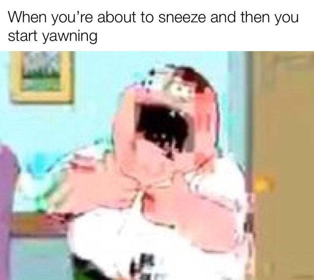 When you are about to sneeze and then you start yawning - meme
