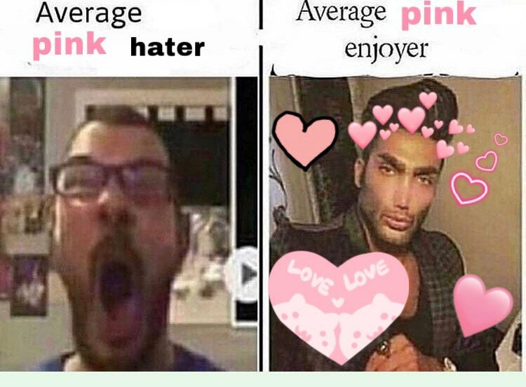 Pink enjoyer  - meme