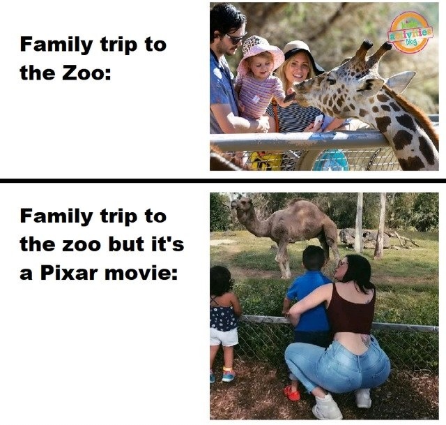 Take me to the zoo - meme