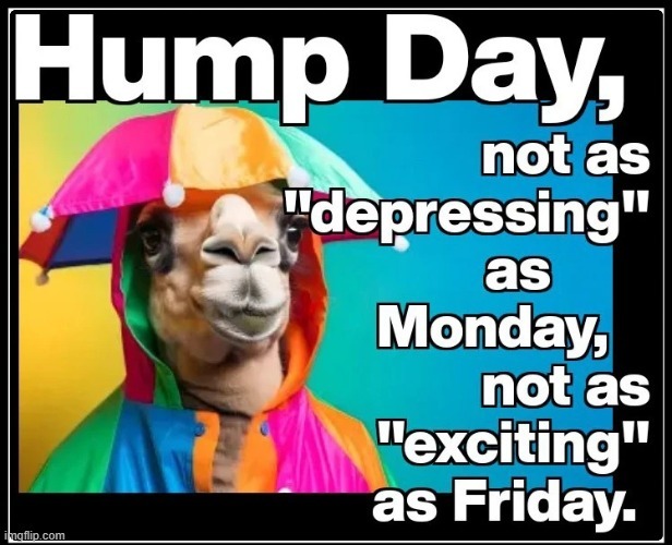 Happy Hump Day meme