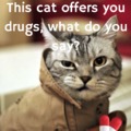 cat offers you substances
