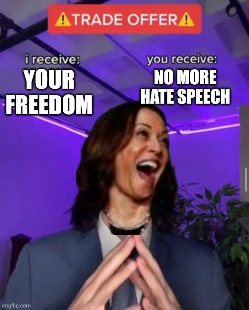 Sure you won't have a constitution, but no more meanies! - meme