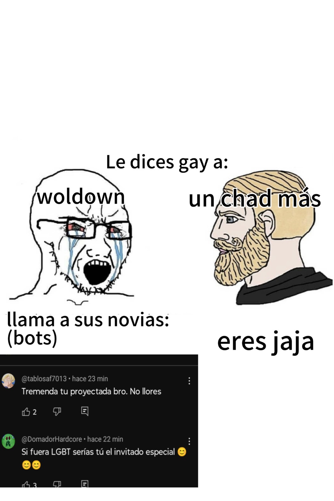 No sé porque cuando le baiteo a woldo estás cuentas me tiran kk XD ya parecen bots por estar atento a los comentarios :poker: - meme