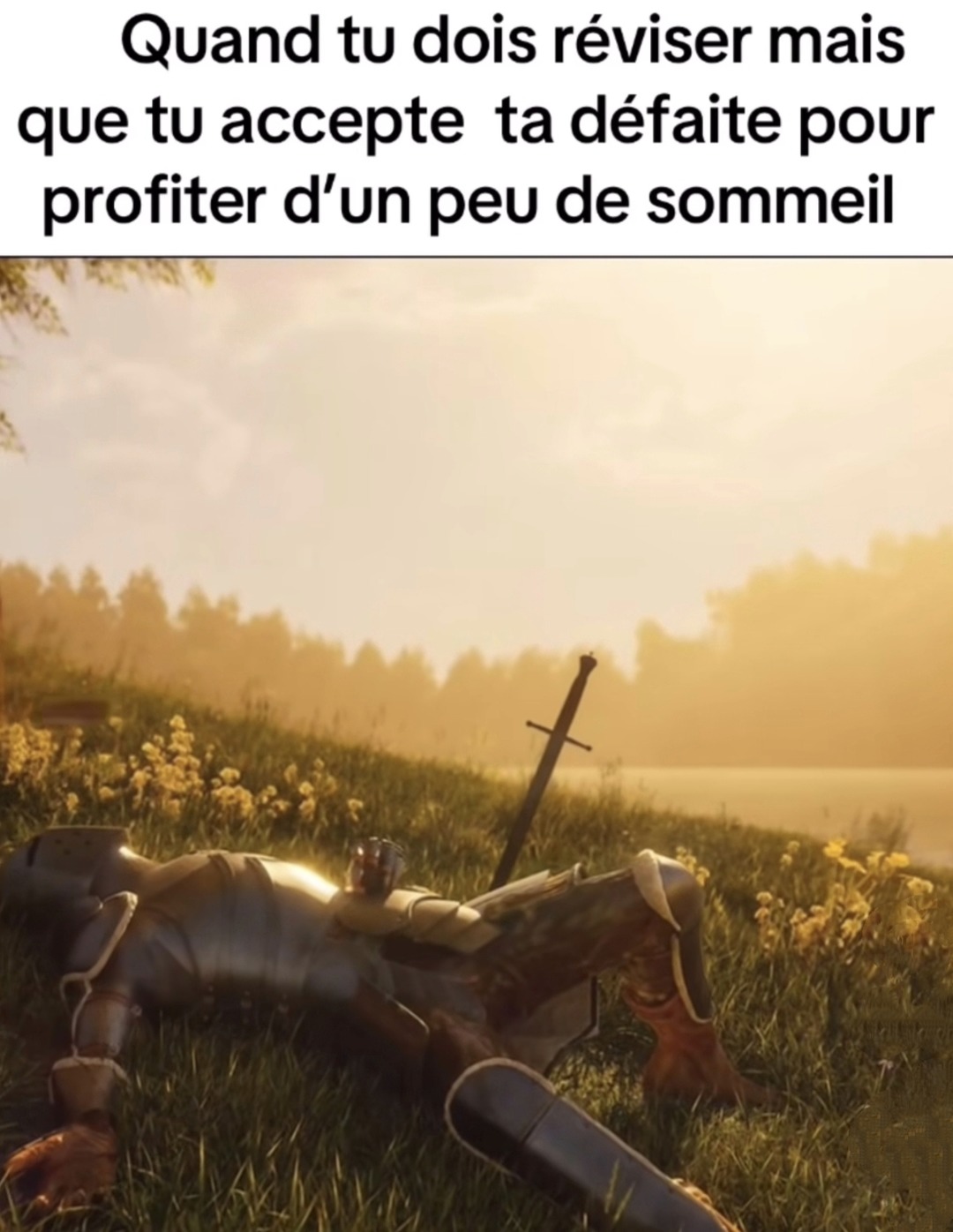Réviser ? Non merci j'choisis le sommeil et la paix intérieure - meme