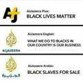 Ban Al Jazeera