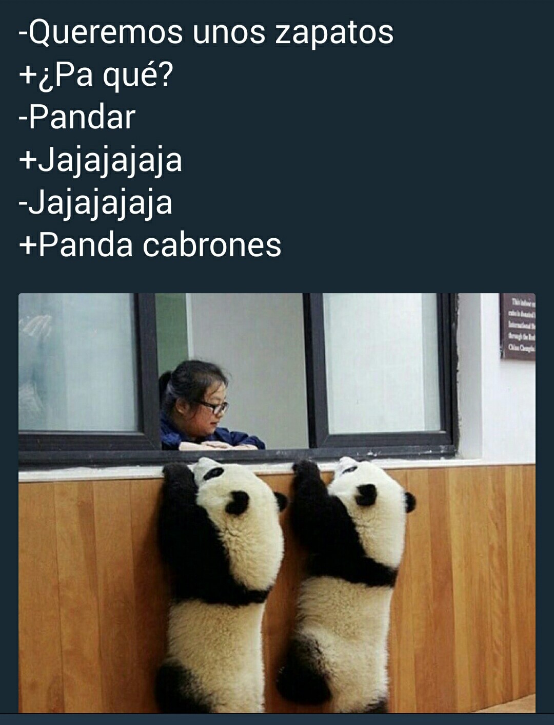 Pandareta - meme