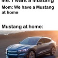 (Mustang Mach-E)