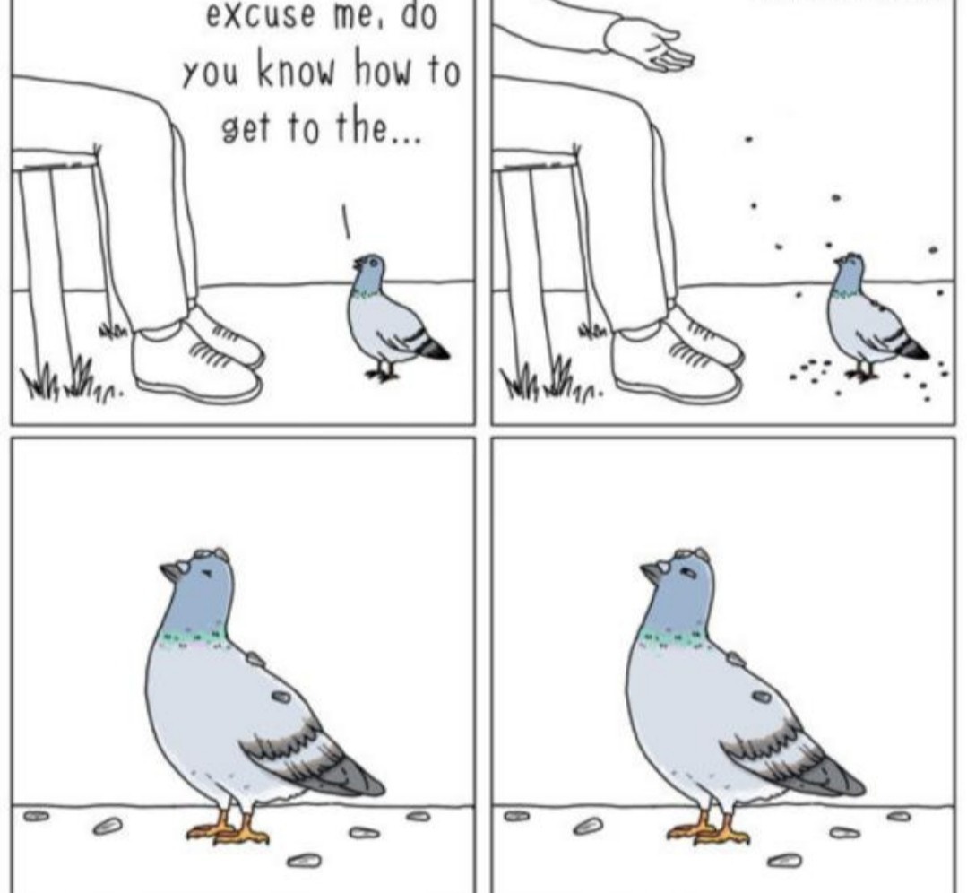 Being a pigeon be like: - meme