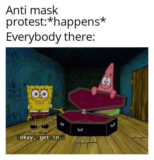Antimaskers are idiots - meme