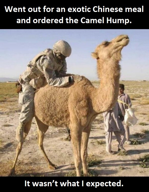 Try the Camel's Hump - meme