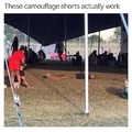 Les shorts camouflage marchent ptn