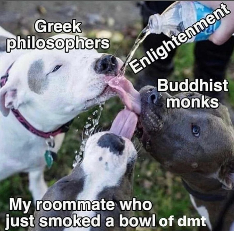 Ohh we all want a little enlightenment don't we - meme
