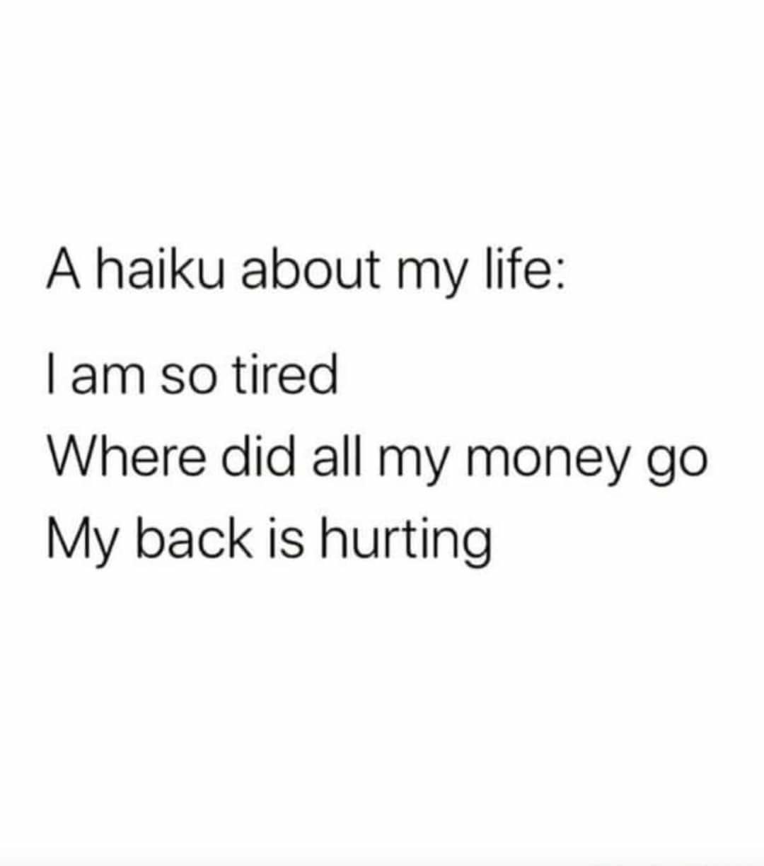 Haiku is Japanese.... - meme