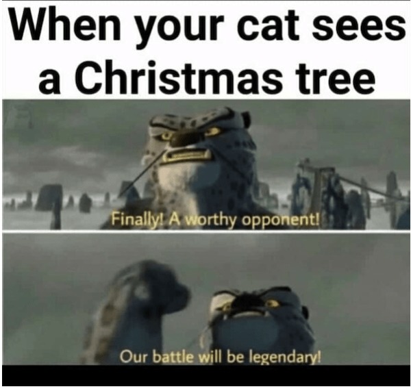 When your cat sees a Christmas tree - meme