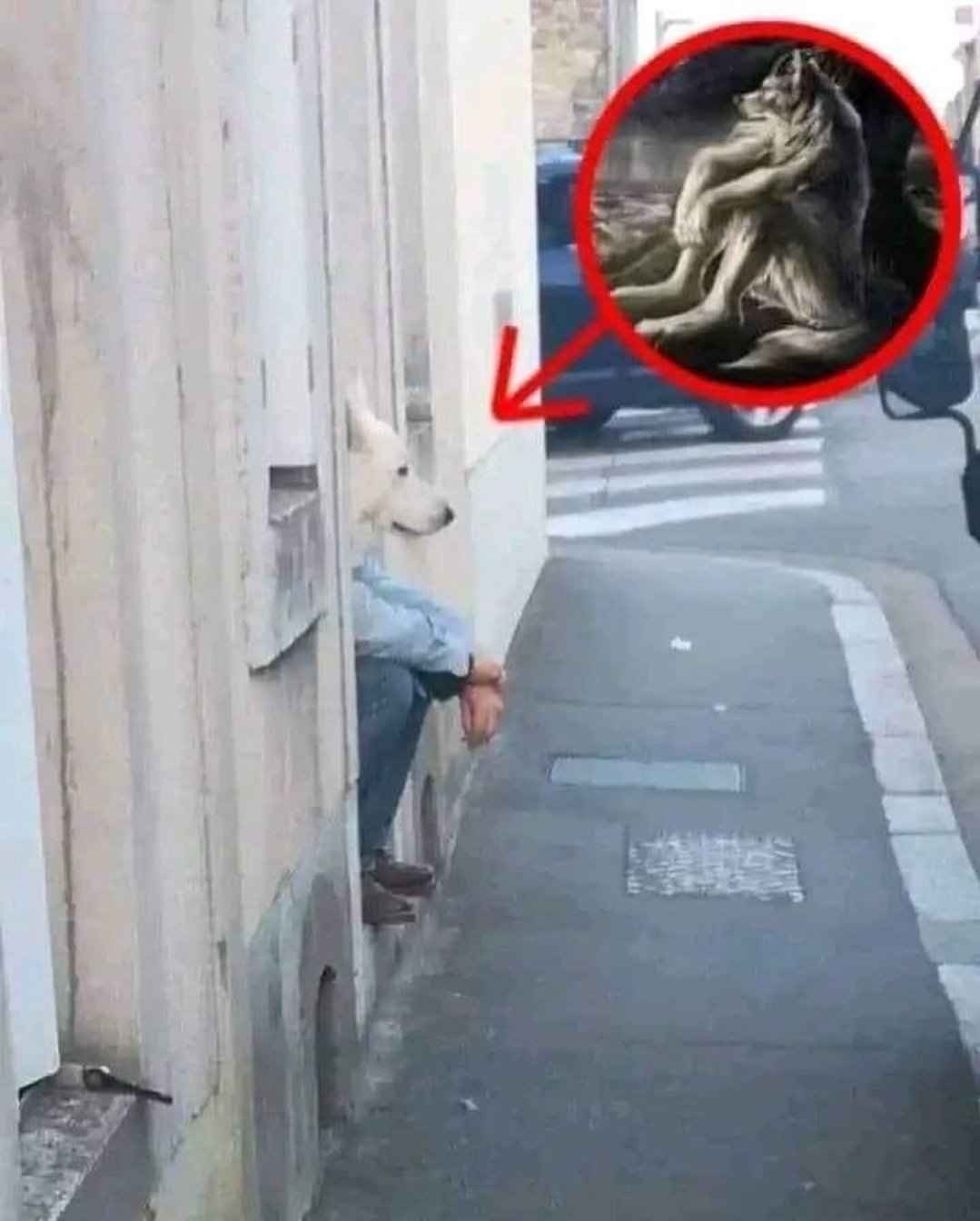 Lo encontré - meme