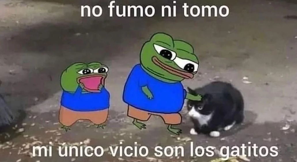 LOS MICHIIIIIISSS - meme