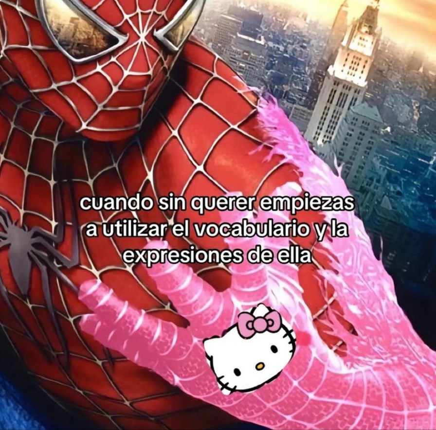 Cuando sin querer se te pega su forma de hablar - meme