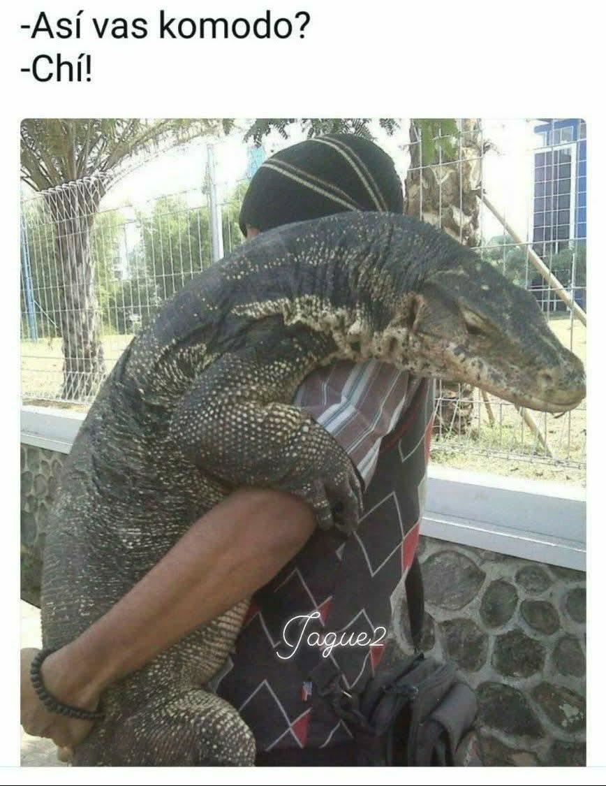 G - meme