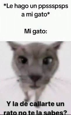 ijo de remil te crees muy gracioso? - meme