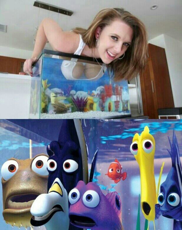 Today Nemo becomes a man - meme