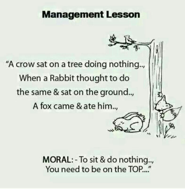 management lessons - meme