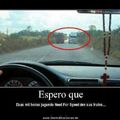 Need For Speed (Vida Real)