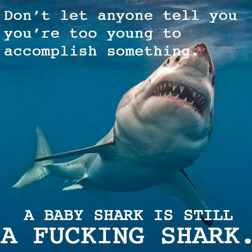 Title loves sharks ♡ - meme