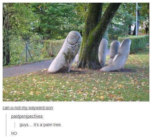 PALM tree - meme
