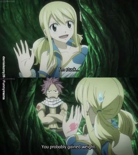 Anime: Fairy Tail - meme