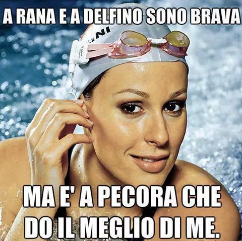 by mastrergio : stili di nuoto - meme